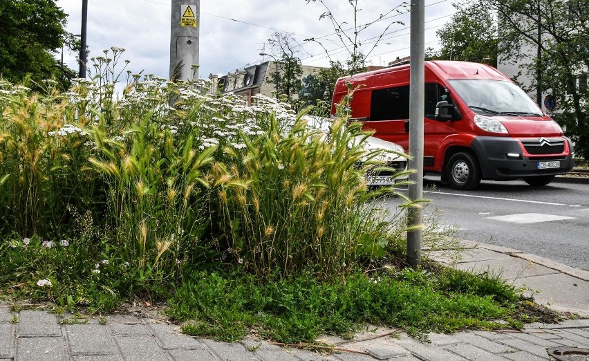 Bydgoszczanie widzą problem...