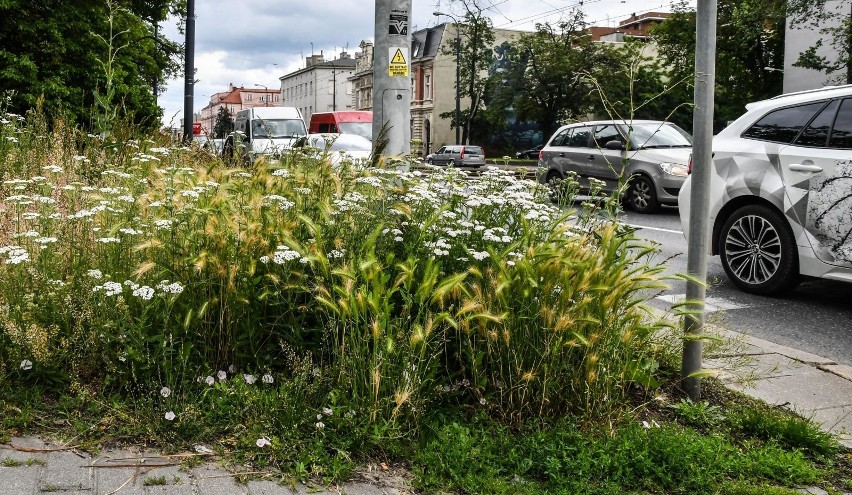 - Powodów było kilka, a wśród nich oszczędności w miejskiej...