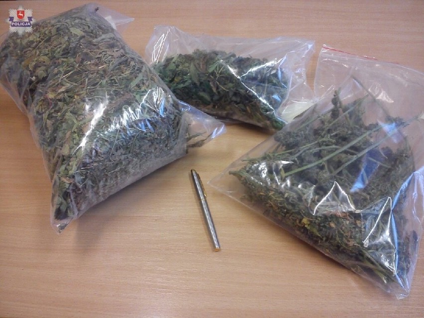 Marihuana zarekwirowana przez policjantów z Krasnegostawu