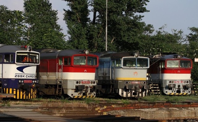 Dziś bez podróżowania nie wyobrażamy sobie świata. Dalekie rejony kraju, kontynentu są coraz bliżej. Wszystko to dzięki statkom, autobusom, samochodom - mówi Igor Przybylski