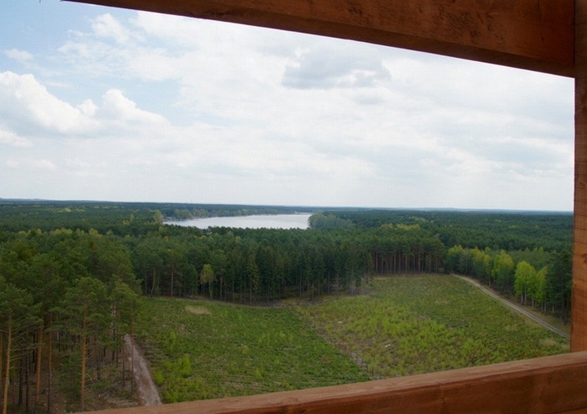 Wieża widokowa Joanna i widoki na Jezioro Sławskie i lasy.