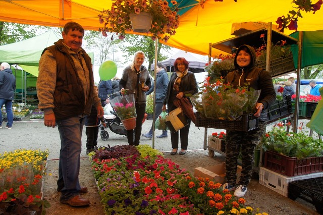 Zielone Ogrody nad Odrą, 11 -12 maja 2019 r.Kiermasz odbędzie się w sobotę, w godz. 10-18, a w niedzielę, 10-16.