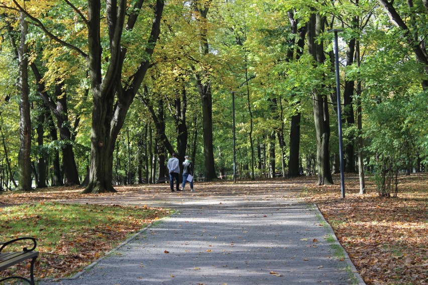 Park Kachla w Bytomiu zachwyca jesienną porą. W taką pogodę...