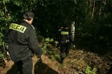 Skulony, przemarznięty 92-latek schronił się pod drzewem. Mężczyzna zgubił się w lesie