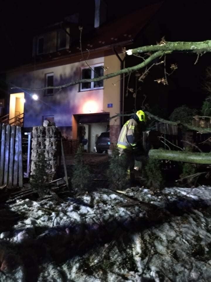 Drzewo runęło na ogrodzenie posesji w Żurawicy pod Przemyślem. Interweniowali strażacy z OSP Orzechowce [ZDJĘCIA]