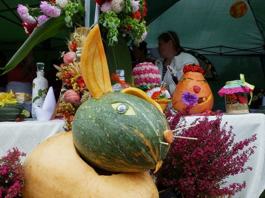 Dzik, kaczki i czarnina. I Powiatowy Festiwal Jadła Kujawskiego [zdjęcia]