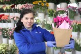 Kwiaty na Dzień Kobiet 2023. Jakie kwiaty kupić w prezencie na Dzień Kobiet? Oto CENY z łódzkich kwiaciarni