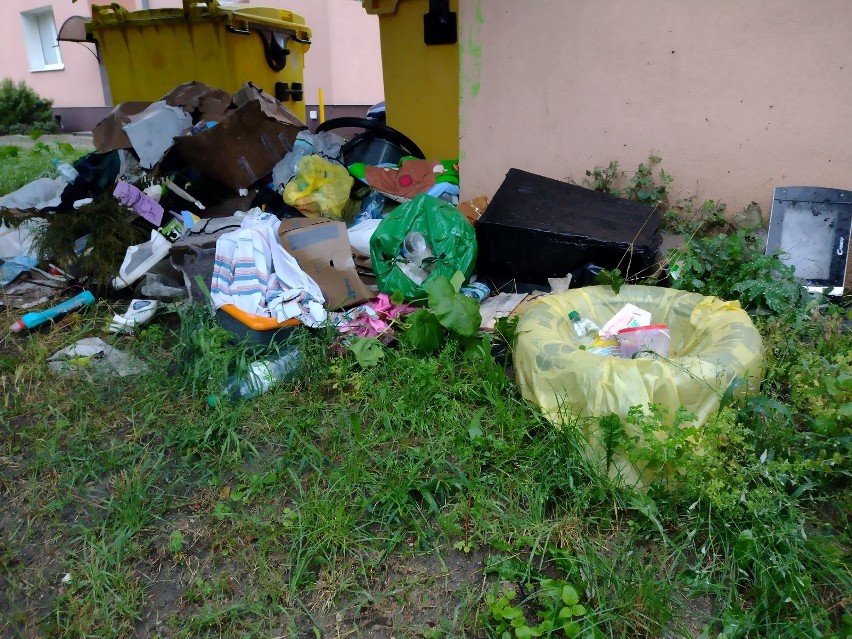 Śmieci przy pergolach w różnych częściach miasta Zielona...