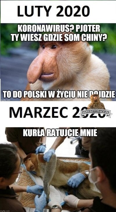 Janusz nosacz memy. Żartobliwie o przywarach Polaków. Zobacz!