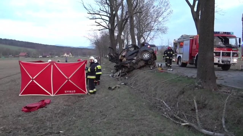 Wyprzedzał kilka pojazdów i wbił się w drzewo. Kierowca nie żyje (ZDJĘCIA)