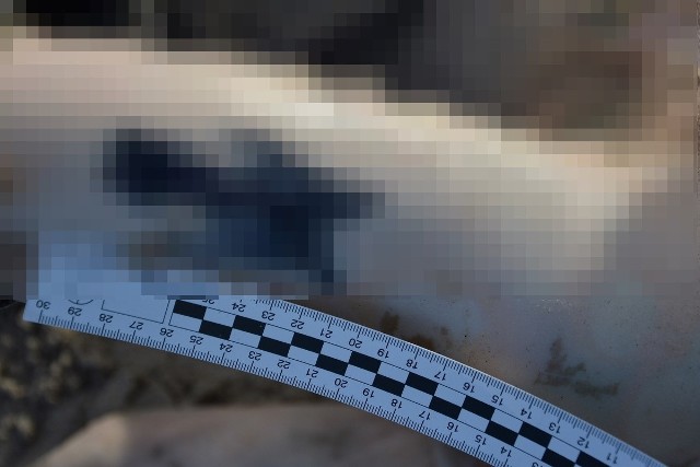 Mężczyznę znaleziono 8 marca 2023 r. na plaży w Kuźnicy. Dotychczas nie udało się ustalić jego tożsamości