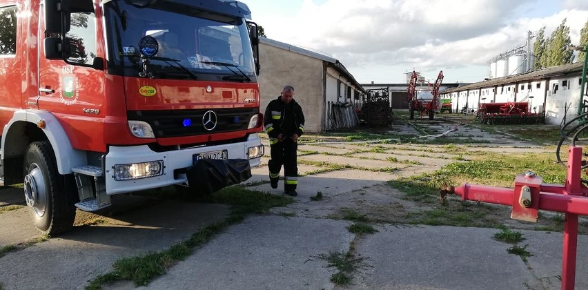 Nowe Szepietowo Podleśne: W pożarze chlewni zginęło ponad 600 świń [27.06.2019]