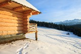 Noclegi na zimę w Polsce. 6 niezwykłych miejsc, które warto odkryć. Gdzie znajdują się domki na drzewie, dom z gliny i zamkowe komnaty? 