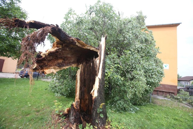 Usuwanie skutków po nawałnicy, która przeszła w Koniecpolu