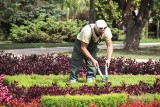 Praca w ogrodach miejskich i na prywatnych działkach potrzebna od zaraz. Ile można zarobić jako ogrodnik?