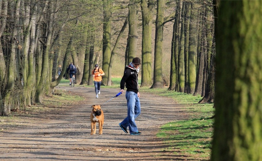 Kalendarzowa wiosna nadeszła 20 marca, a wraz z nią ciepła...