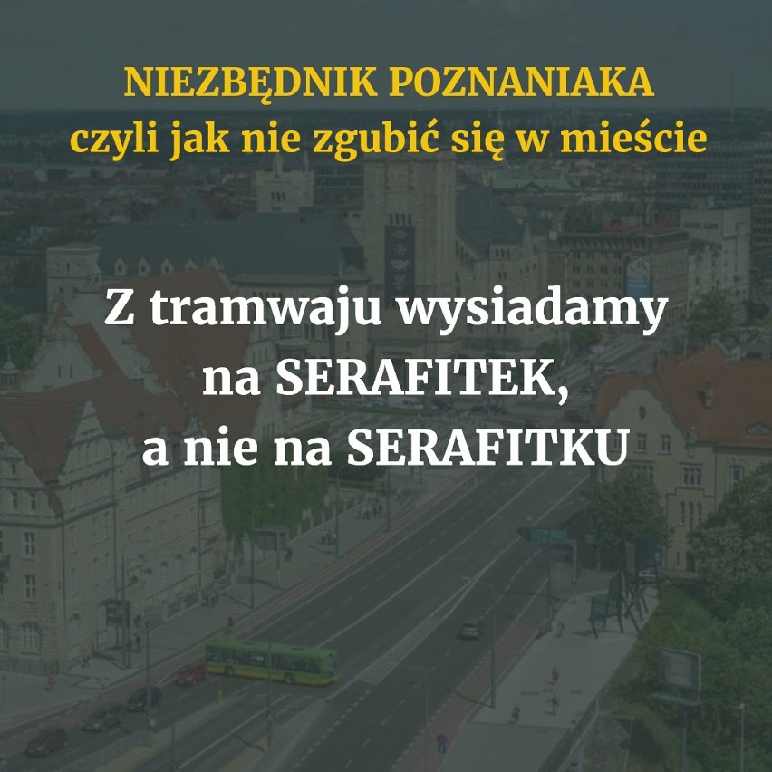 Tu nawet nie chodzi o to, żeby nie zrobić sobie wstydu....