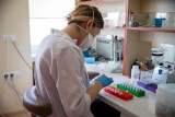 Białystok. Naukowcy z UMB odkryli przypadki zakażeń dwoma wariantami koronawirusa jednocześnie 
