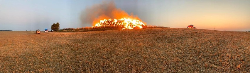 Pożar koło miejscowości Płotno. Spaliło się 600 bel siana