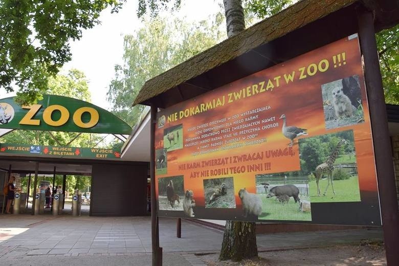 Zoo przypomina, aby nie dokarmiać zwierząt.