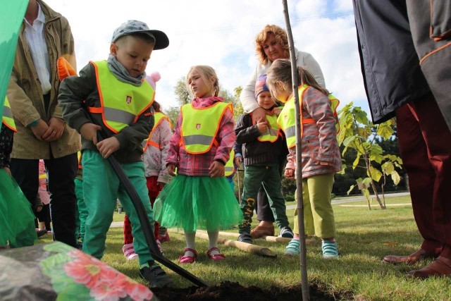 Dzieci dzielnie sadziły drzewa z pomocą dorosłych.