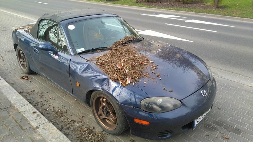 Tak wygląda auto pana Mateusza. Właściciel mazdy oszacował...