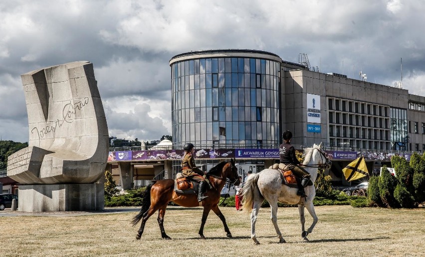 Dodatkowe 2,2 mln zł na rozbudowę Akwarium w Gdyni. Prace mają być zakończone w połowie 2023