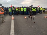 Protest rolników na autostradzie z Łodzi do Warszawy. W akcji gospodarze z całego kraju 