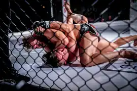 Ściąga kibica: wieczór mocnych wrażeń na gali MMA, sporo futbolu i siatkówki