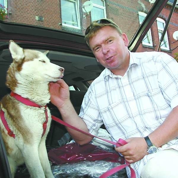 W samochodzie typu kombi psu najwygodniej będzie w bagażniku. Na zdjęciu Jarosław Kobiałka z Brzegu z huskym o imieniu Alba.