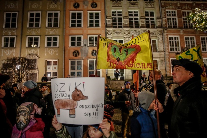 Gdański protest przeciwko masowemu odstrzałowi dzików,...