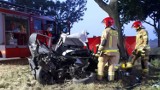 Śmiertelny wypadek na trasie Rakoniewice - Ruchocice. Auto wjechało w drzewo. Nie żyje jedna osoba