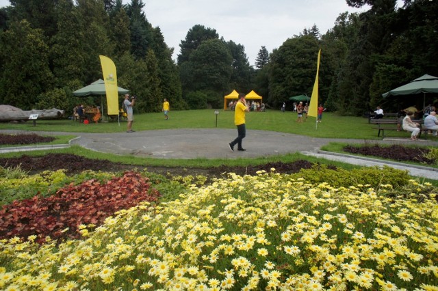 Ogród Botaniczny UAM będzie zimą otwarty