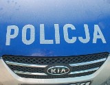 Gmina Magnuszew: wypadek na drodze numer 79 w Przydworzycach