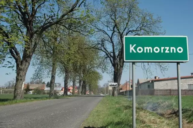 Aleja kasztanowa w Komorznie