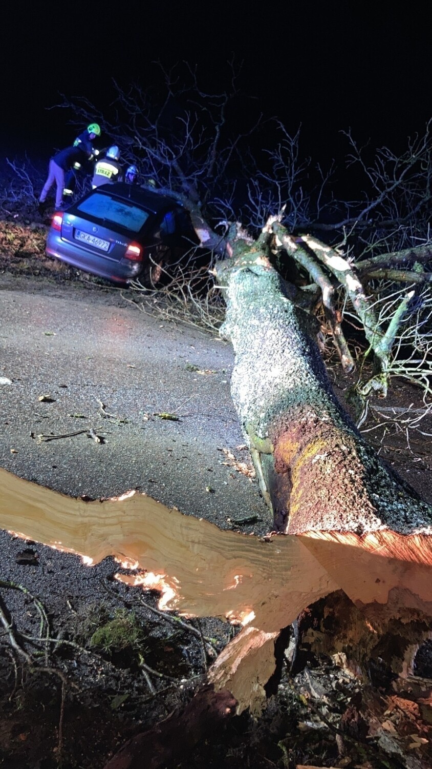 Drzewo przewróciło się na jezdnię, uderzył w nie samochód. Było podcięte?