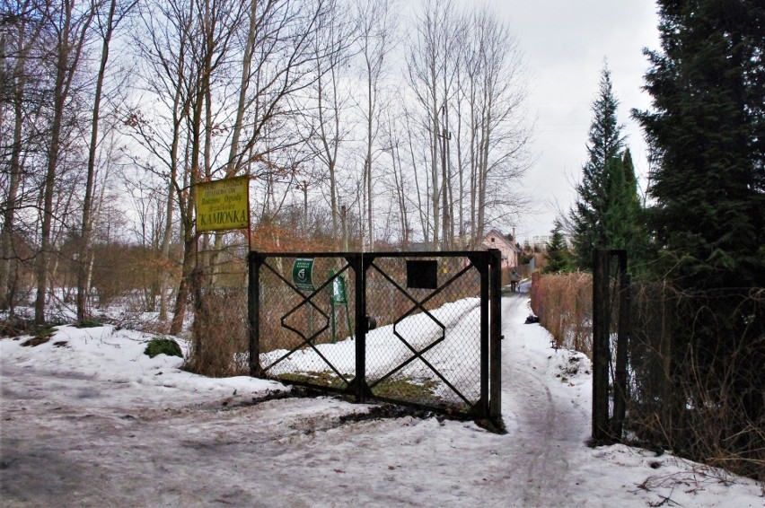 Na działkach, które przetnie obwodnica Tarnobrzega, ścięto drzewa. Rzeczoznawca rozpoczyna pracę (ZDJĘCIA)