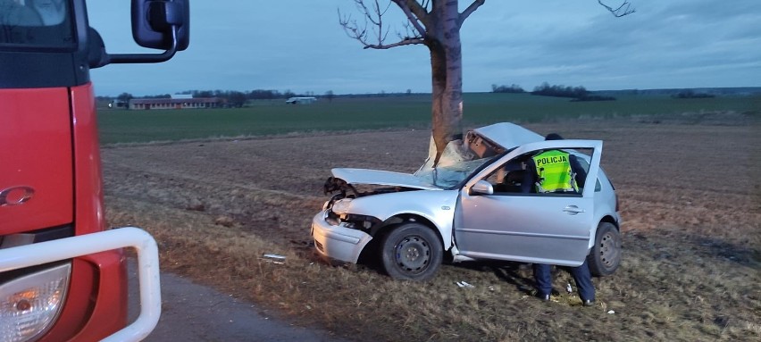 Tak wyglądał volkswagen po zderzeniu się z drzewem.