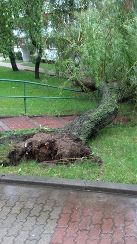 Ul. Dziesięciny 1