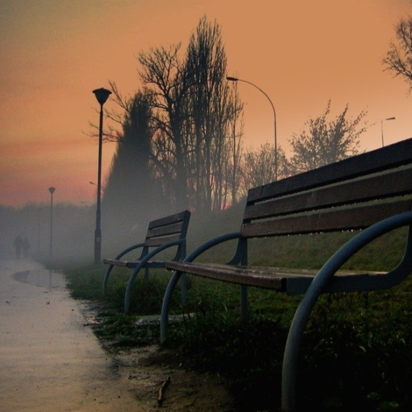 Wystawę fotografii będzie można obejrzeć w Buskim Samorządowym Centrum Kultury.