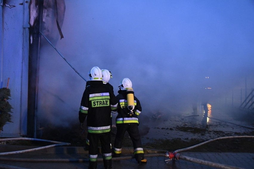 Kornica. Pożar zakładu stolarskiego. Jedna osoba ranna, 100 strażaków w akcji (NOWE ZDJĘCIA) 