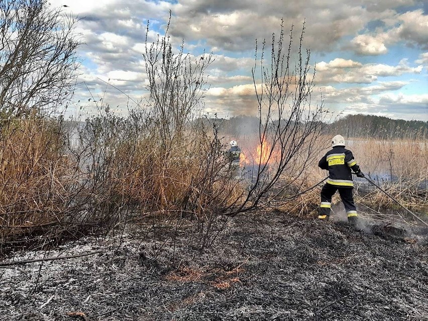 Strażacy z OSP KSRG  Koronowo gasili w weekend pożar w...