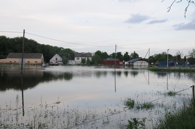 Wiele kujawsko-pomorskich gospodarstw zostało podtopionych podczas tegorocznej powodzi