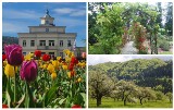 Nowy Sącz/Sądecczyzna. TOP 10 miejsc w mieście i w regionie gdzie można zrobić pamiątkowe wiosenne zdjęcia