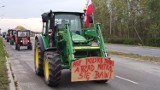 Protest rolników na drogach zapowiada AgroUnia. 20 lipca hodowcy trzody chlewnej będą protestować w województwie łódzkim