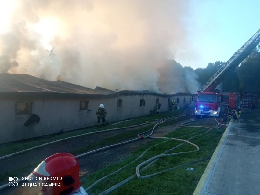 Gigantyczny pożar kurnika w miejscowości Ćmińsk. W środku 31 tysięcy kurcząt. W akcji 17 zastępów strażackich