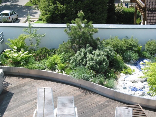 Na dachu płaskim można stworzyć ogród, w którym będą rosły krzewy, a nawet drzewa - ułatwią to specjalne produkty, przeznaczone do tworzenia intensywnych dachów zielonych.