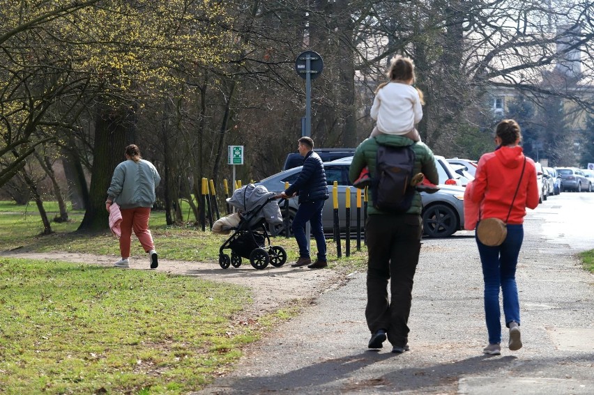 Wiosna zawitała do Polski. Jest pięknie, ale uzbrójmy się jeszcze w cierpliwość. Czego spodziewać się w najbliższym czasie? ZDJĘCIA