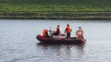 Akcja strażaków na Odrze w Opolu. Ratowali młodego jelonka