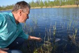 Żary.Wędkarze wyłowili już kilogramy śniętych ryb  na kunickim stawie!